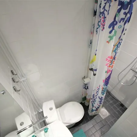 Apartament Centre Puistokatu 29 *